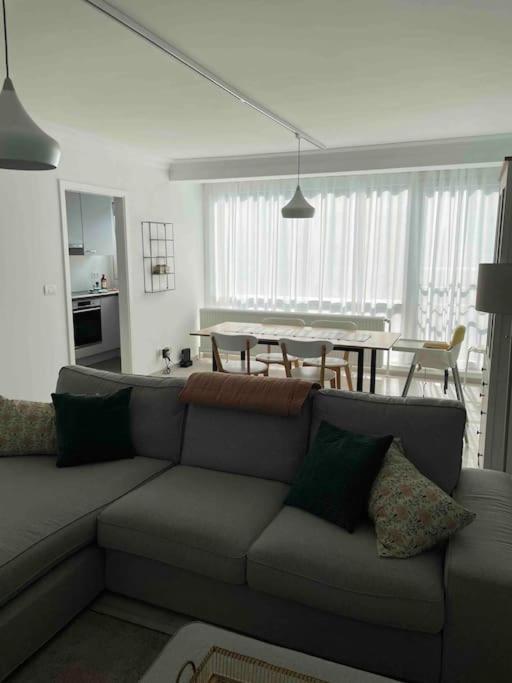 Residentie Piccadilly 2 Slpk Appartement Te Oostende, 4 Tot 5 Pers, Met Terras Kültér fotó